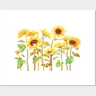 golden yellow sunflowers painting Posters and Art